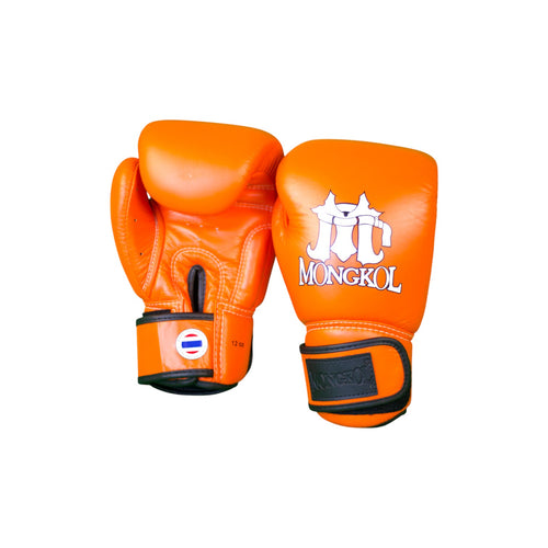 Boxing Gloves - BGM01 Series