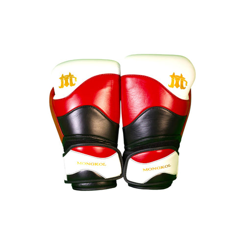 Boxing Gloves - BGM04 Series
