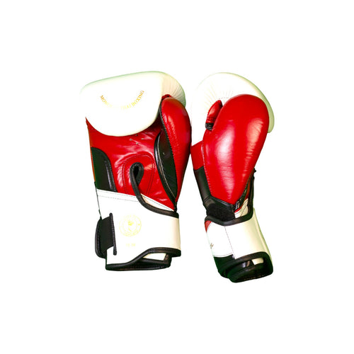 Boxing Gloves - BGM04 Series
