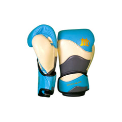 Boxing Gloves - BGM04 Series