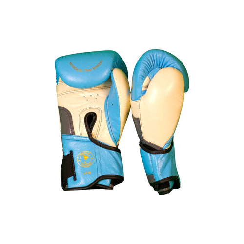 Boxing Gloves - BGM04 Series