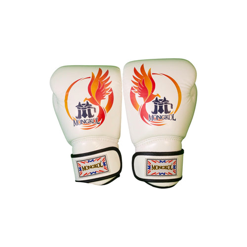 Boxing Gloves - BGM01 Series