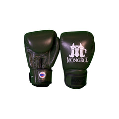 Boxing Gloves - BGM01 Series