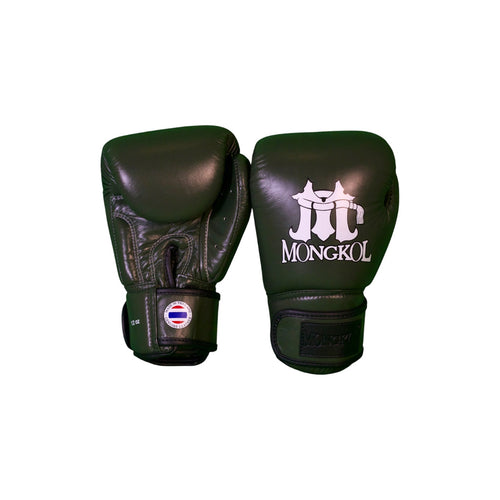 Boxing Gloves - BGM01 Series