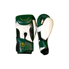 Boxing Gloves - BGM04 Series
