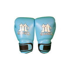 Boxing Gloves - BGM01 Series