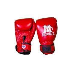 Boxing Gloves - BGM01 Series