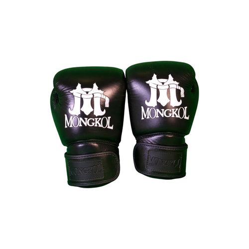 Boxing Gloves - BGM01 Series