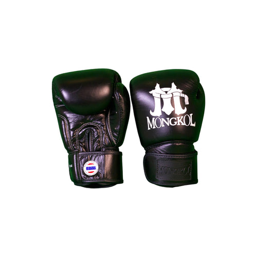 Boxing Gloves - BGM01 Series