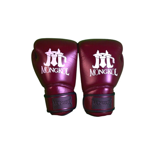 Boxing Gloves - BGM01 Series