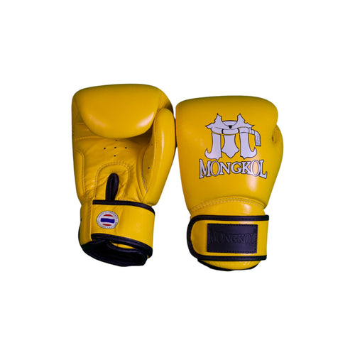 Boxing Gloves - BGM01 Series