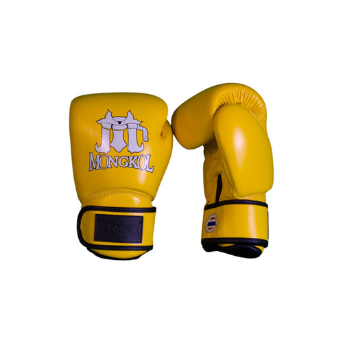 Boxing Gloves - BGM01 Series
