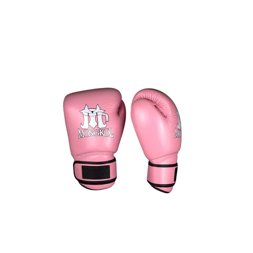 Boxing Gloves - BGM01 Series