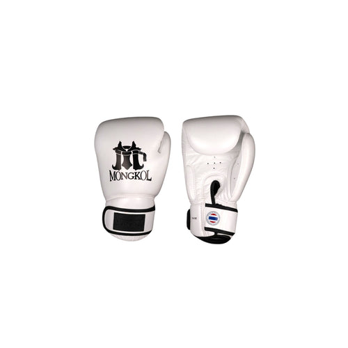 Boxing Gloves - BGM01 Series