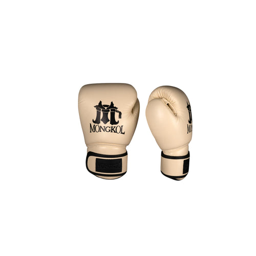 Boxing Gloves - BGM01 Series